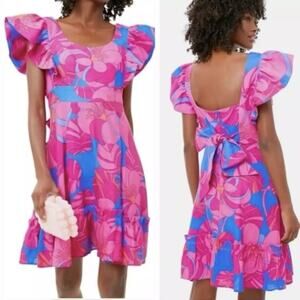 Tuckernuck Pink and Blue Floral Mini Dress